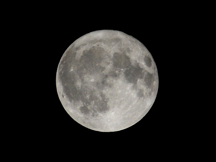 DSC_0794_01