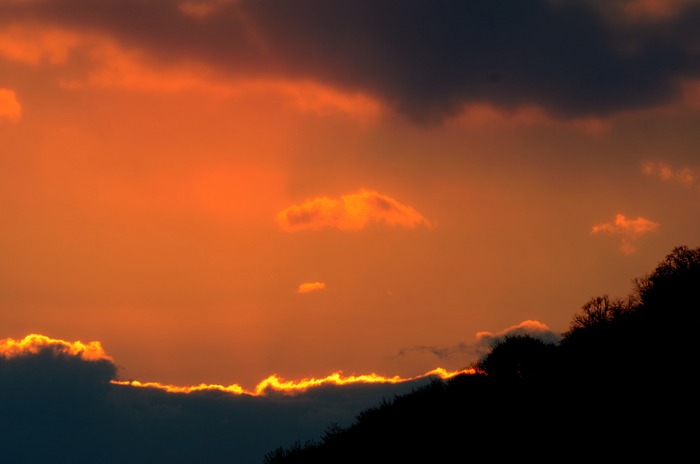 DSC_8986