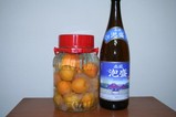 あんず酒