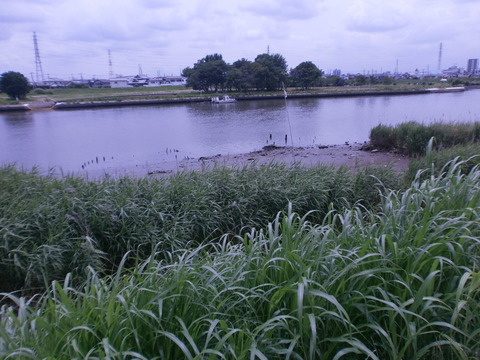 P6300394