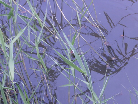 P6300409