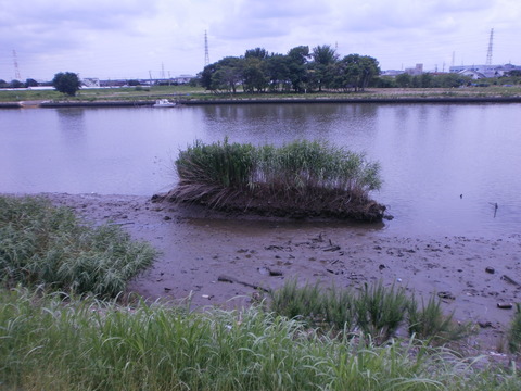 P6300395
