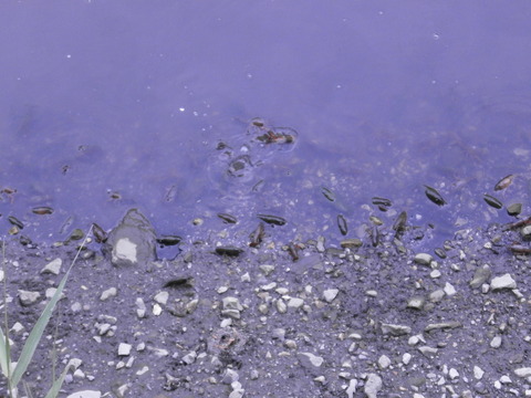 P6300408