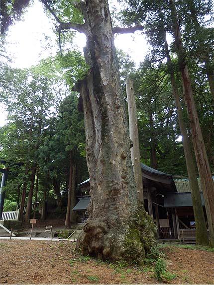 長野出張セッション7