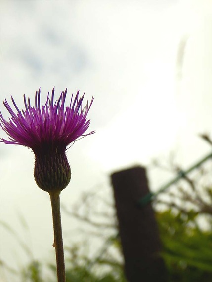 5539d706.jpg