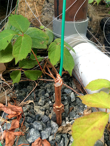 電場計測③