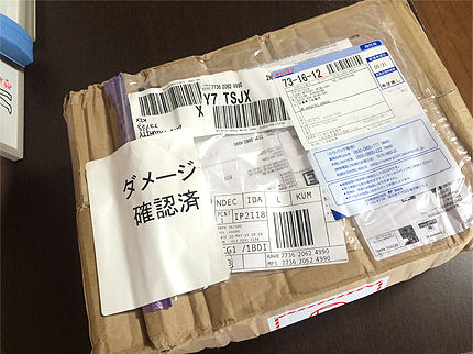 フラワー1