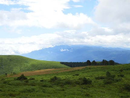 c9f09616.jpg