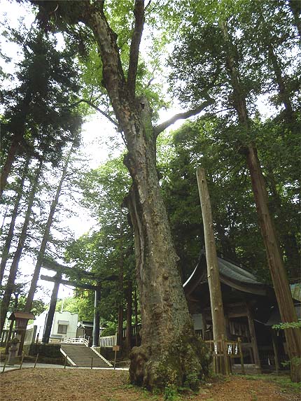長野出張セッション6