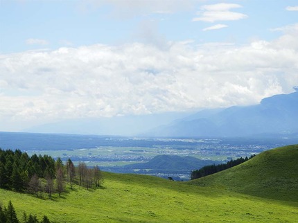 e5864443.jpg