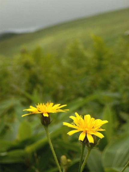 ef10a76f.jpg