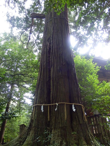 2018出雲大社 須佐神社　参拝22