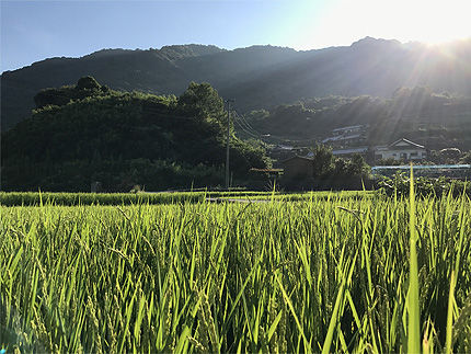 2017夏＿行く季節2