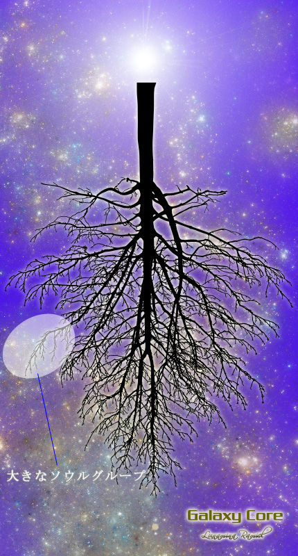 魂の木②