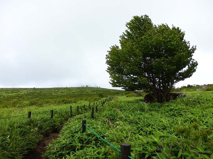 霧ケ峰31