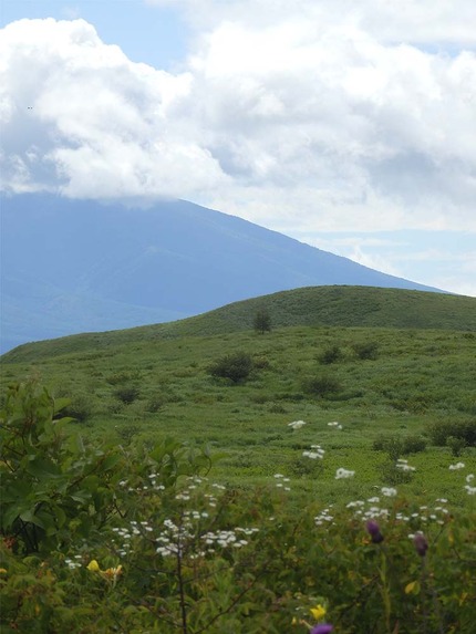 霧ケ峰20