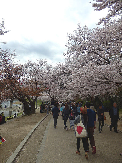 2016_0405花見8