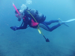 d1b59462.jpg
