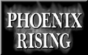 Phoenix Rising����θ���������