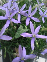 7dbe8041.jpg