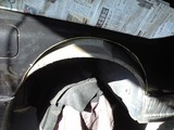 CA393219