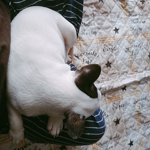 B612_20180618_090138_359