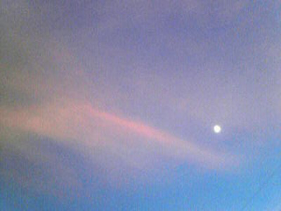 038-20