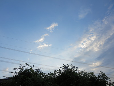 IMG_3355