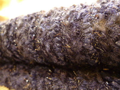P1010569