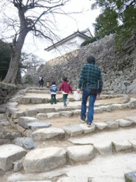 taira1