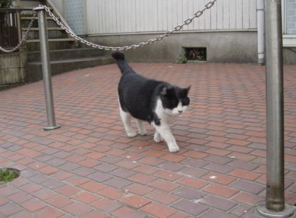 また移動