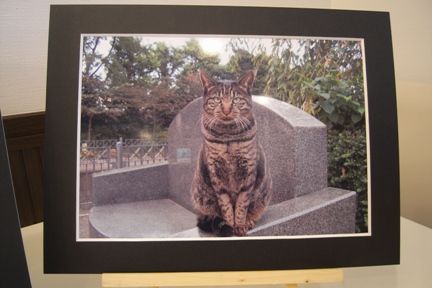 おまち