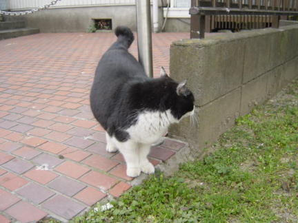 ここでおしまいや
