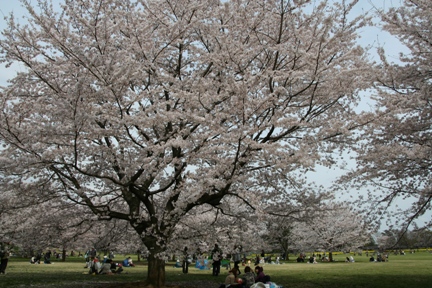 ssIMG_5551
