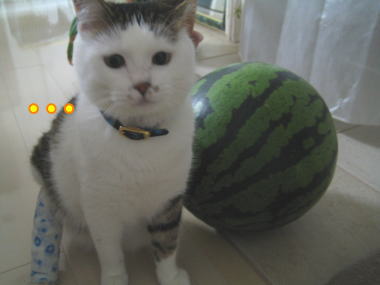 2433c30b.jpg