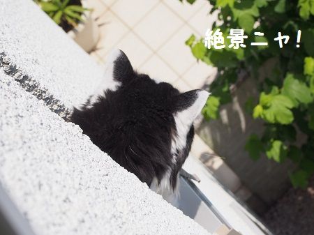 160727_10