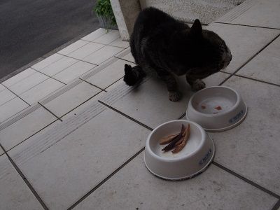 170520_3