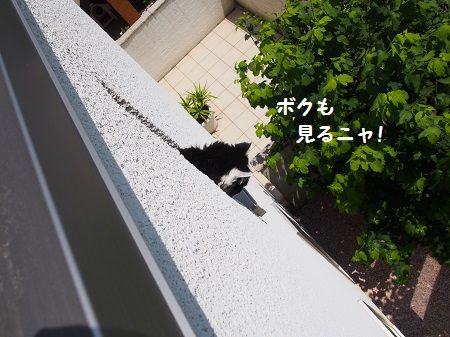 160727_9