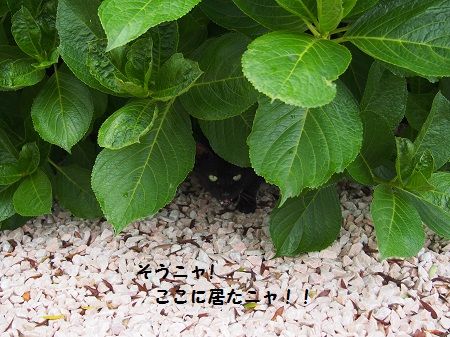 160713_8
