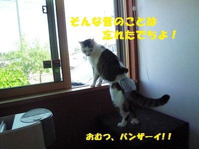 140516_11