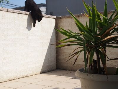170520_8