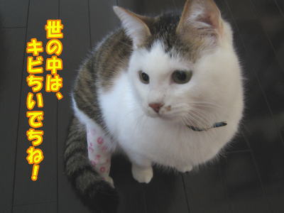 6b493abe.jpg