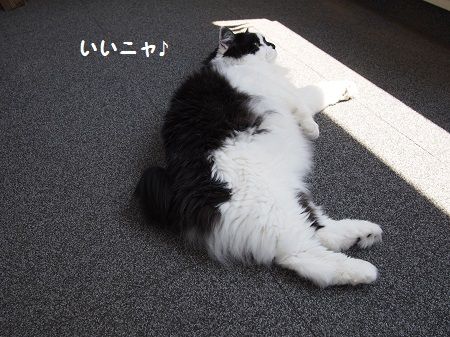 160727_2