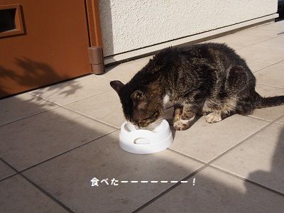 170503_8