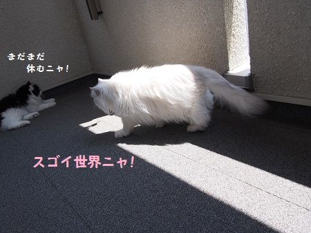 160727_6