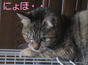 a0f576a0.jpg