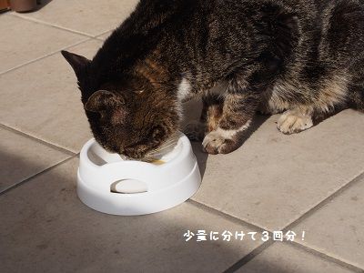 170503_9
