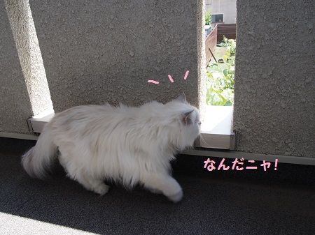 160727_7