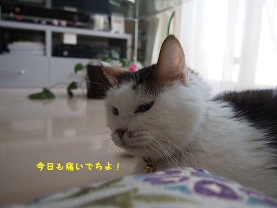 170622_10