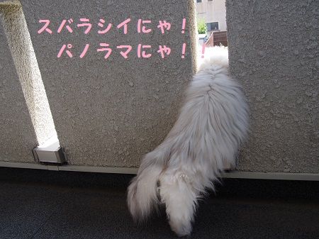 160727_8